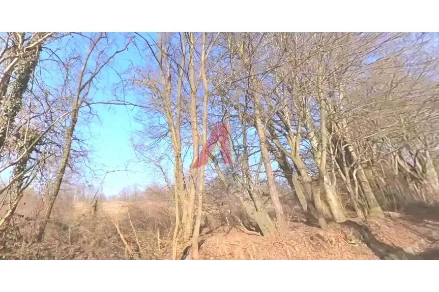 krakowski, Mogilany, Lusina, Brzegi, Działka na sprzedaż