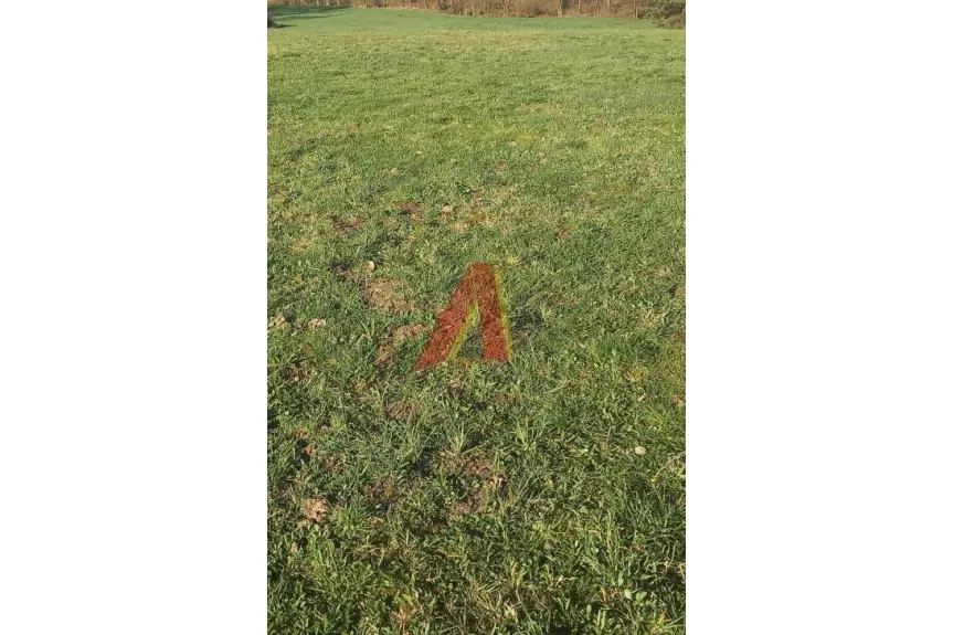 krakowski, Mogilany, Gaj, Zakopiańska, POD USŁUGI I MIESZKANIA