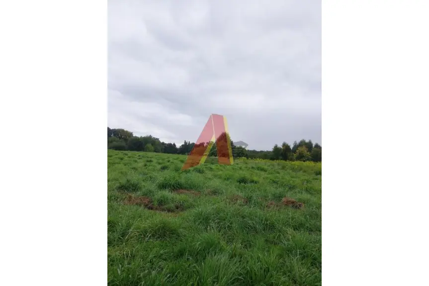 krakowski, Zabierzów, Kleszczów, W obecnym planie rolna