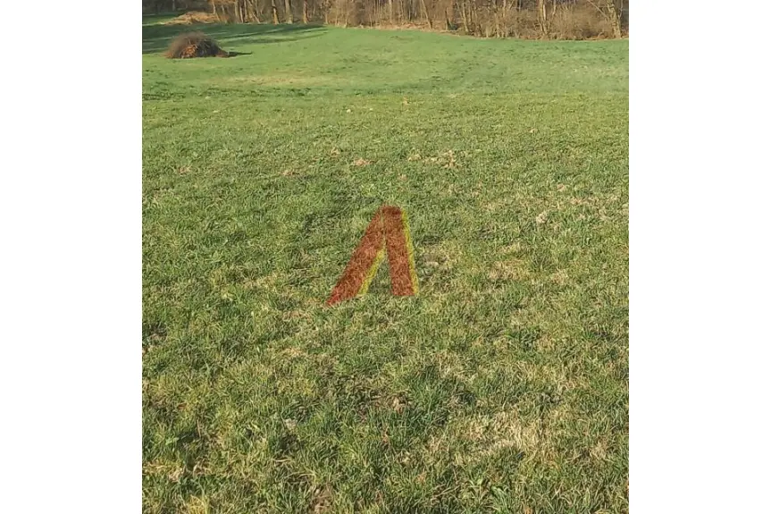 krakowski, Wielka Wieś, Tomaszowice, Wiejska, 30 AROWA GRANICZĄCA Z PARKIEM KRAJOBRAZOWYM