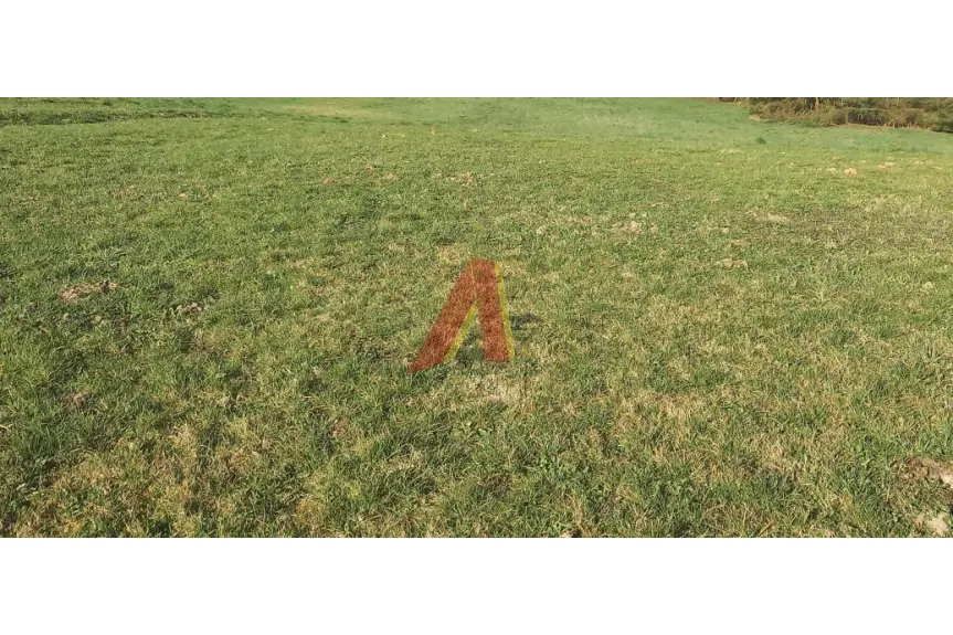 krakowski, Wielka Wieś, Tomaszowice, Wiejska, 30 AROWA GRANICZĄCA Z PARKIEM KRAJOBRAZOWYM