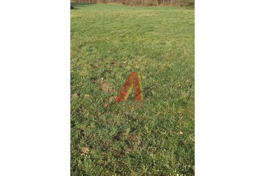 krakowski, Wielka Wieś, Tomaszowice, Wiejska, 30 AROWA GRANICZĄCA Z PARKIEM KRAJOBRAZOWYM