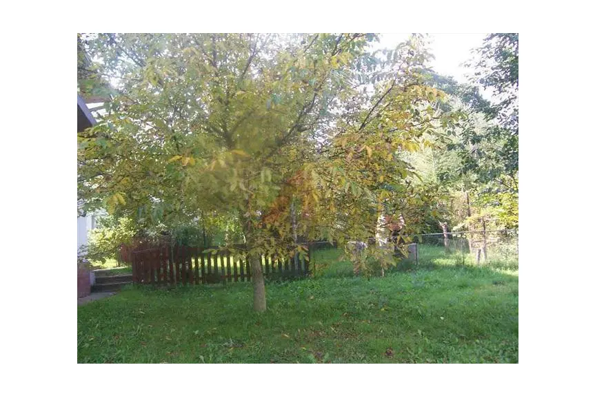 Kraków, Podgórze, Bieżanów, Mała Góra, DWU LUB TRZY RODZINNY DOM